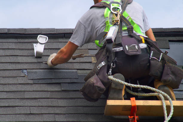 Best Shingle Roofing Installation  in Vernon, AL