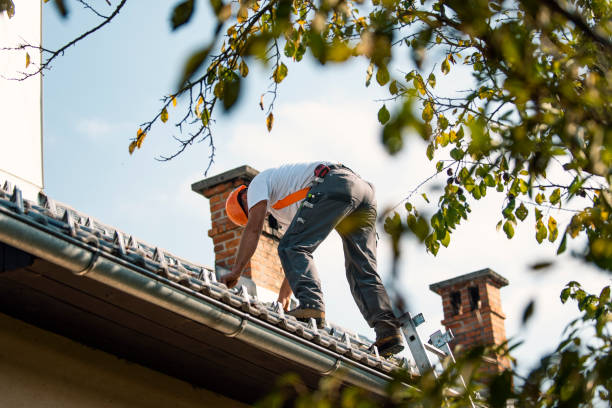 Best Gutter Installation and Roofing  in Vernon, AL