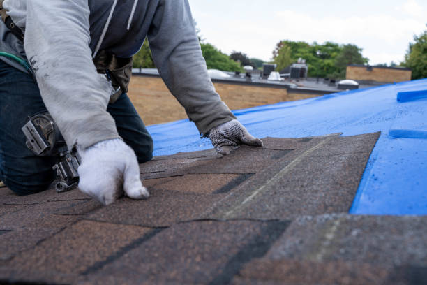 Best Roof Leak Repair  in Vernon, AL