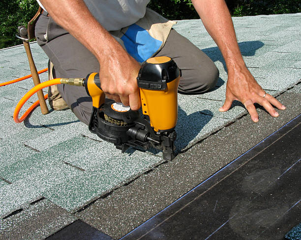 Best Roof Maintenance Services  in Vernon, AL
