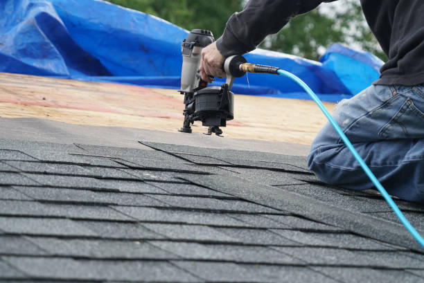 Best Gutter Installation and Roofing  in Vernon, AL