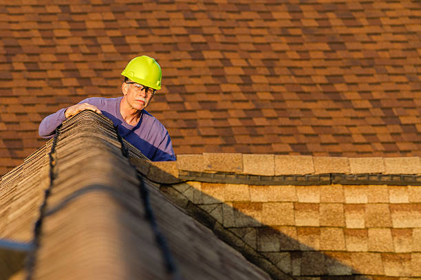 Roof Installation Near Me in Vernon, AL