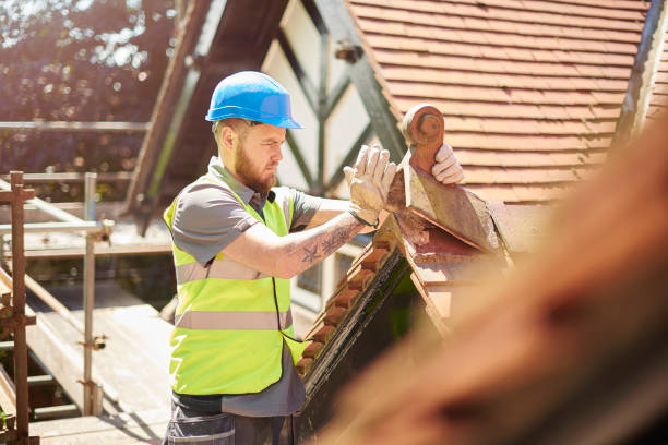 Best Roof Repair Services  in Vernon, AL