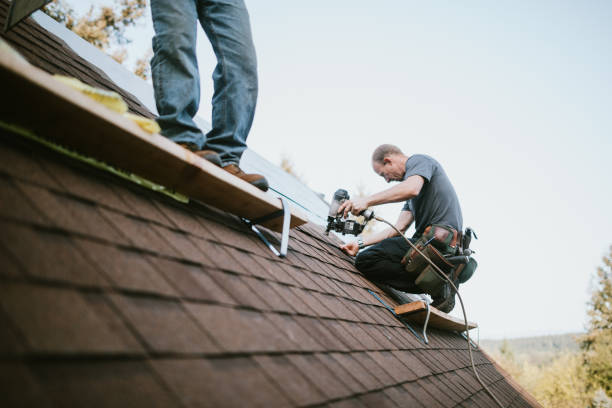 Best Emergency Roof Repair  in Vernon, AL