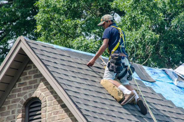 Professional Roofing Contractor in Vernon, AL
